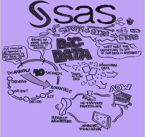 Big Data SAS Infographic