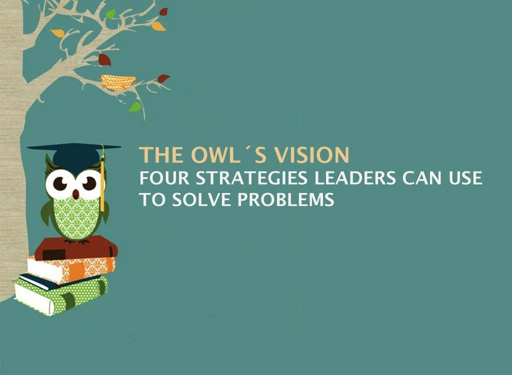 The Owl´s Vision