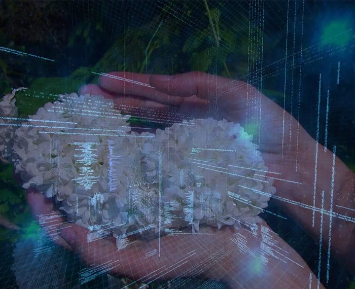 Seedrs: A platform to invest in Start-ups Intelligenthq