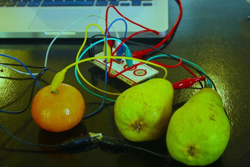 image from workshop organized by Hackidemia