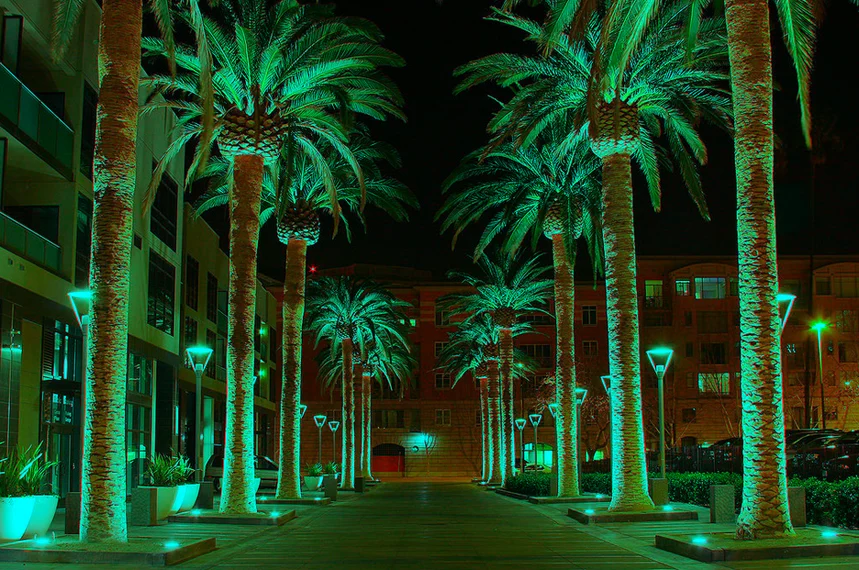 San Jose California, where Silicon Valley is located