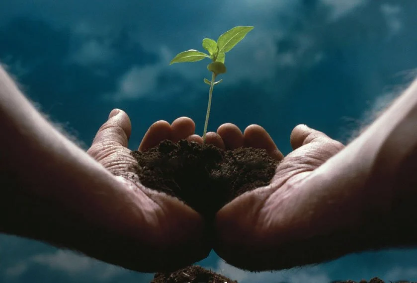 social entrepreneurship Image resource: Berkeley University