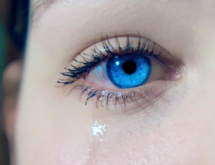 Top 6 Visual Search Engines for Finding the Image You Want