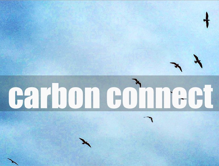 carbon connect AG