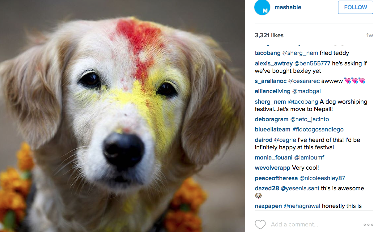 mashable instagram