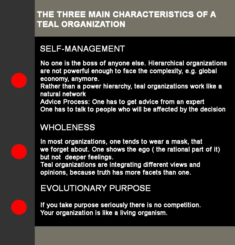 Three Main Characteristics of A Teal Organization