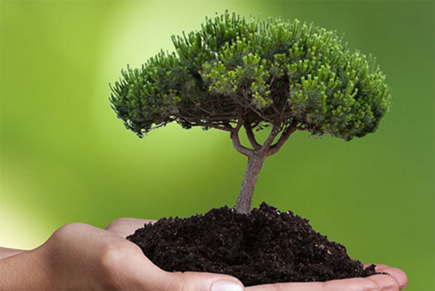 Start a Business Majoring in Social or Environmental Sustainability