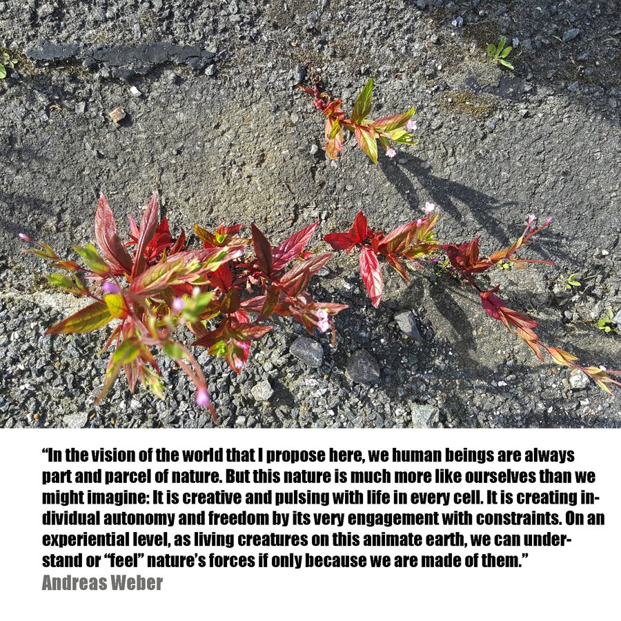 Quote by Andreas Weber