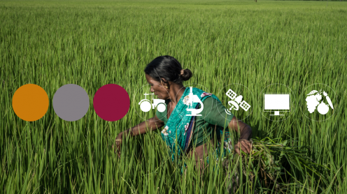 Open Data for Agriculture and Nutrition Godan