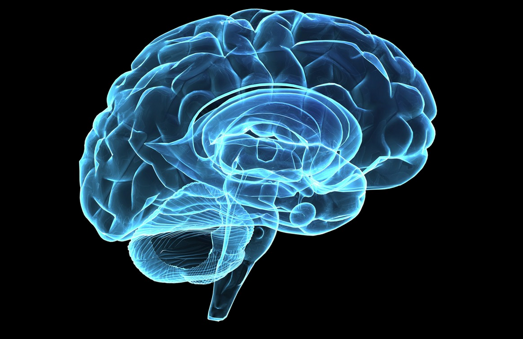 Interview With Larry Kotch, CEO of Brainbroker