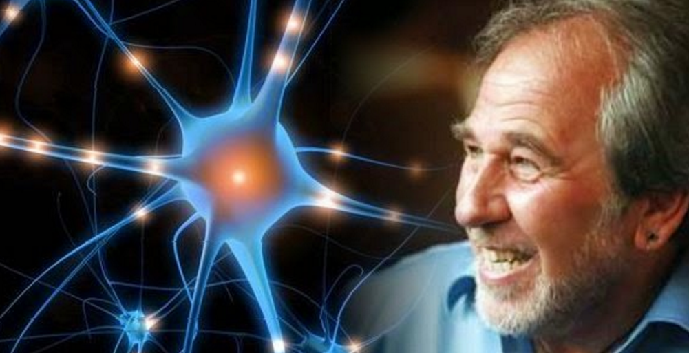 Dr. Bruce H. Lipton