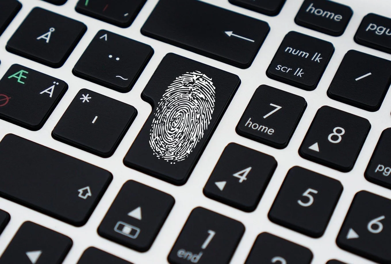 Internet Anonymity a Distant Memory? Here's How to Encrypt Your Virtual Life in an Hour
