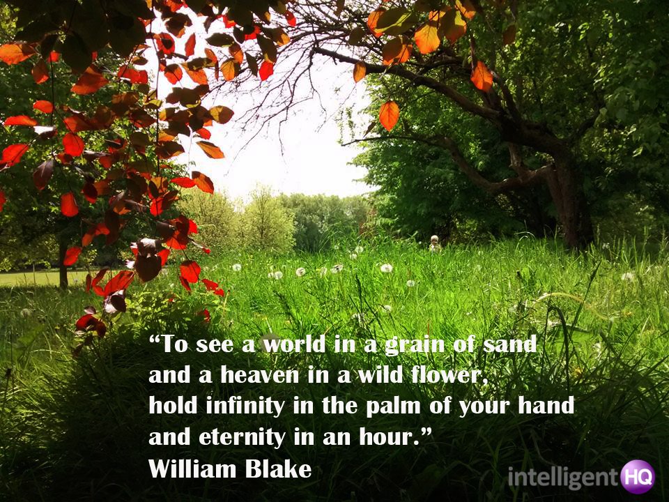 Quote by William Blake