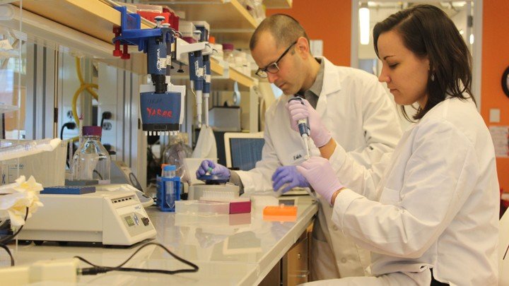 Yaniv Erlich and Dina Zielinski from the New York Genome Center and Columbia University encoded in a single gram of DNA, one of the first films ever made