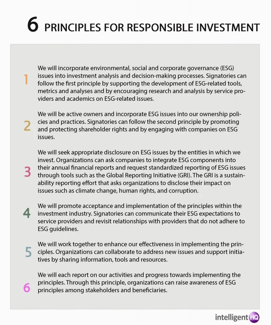 6 Principles for Responsible Investment (PRI)