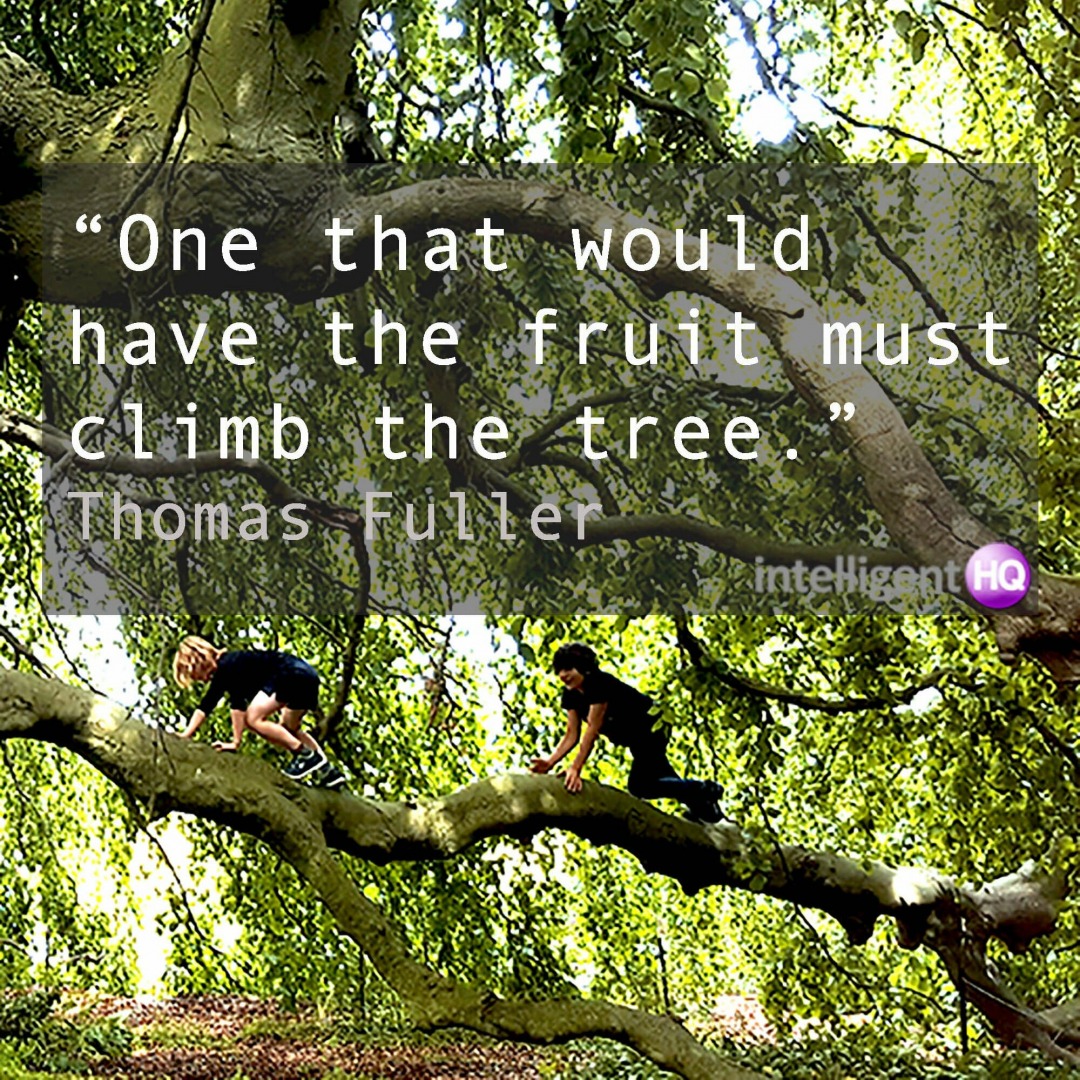 Quote by Thomas Fuller. Image by Maria Fonseca.