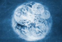 The Global Risks Report The Global Risks Report 2019 by the World Economic Forum