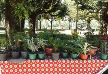 Educating Future Generations For A New Economics