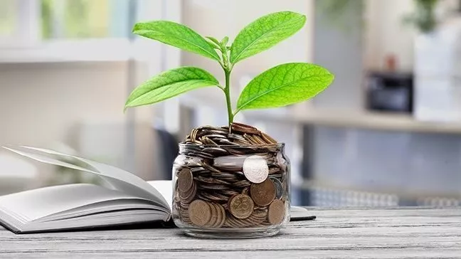 Investing Money as a Beginner