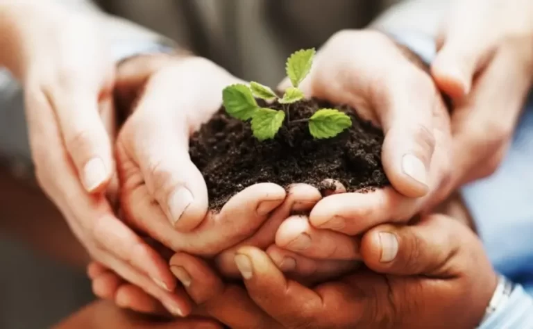 Financial Institutions