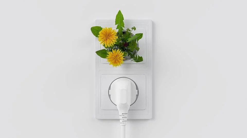 Easy and Effortless Tips That Will Help You Live More Sustainably