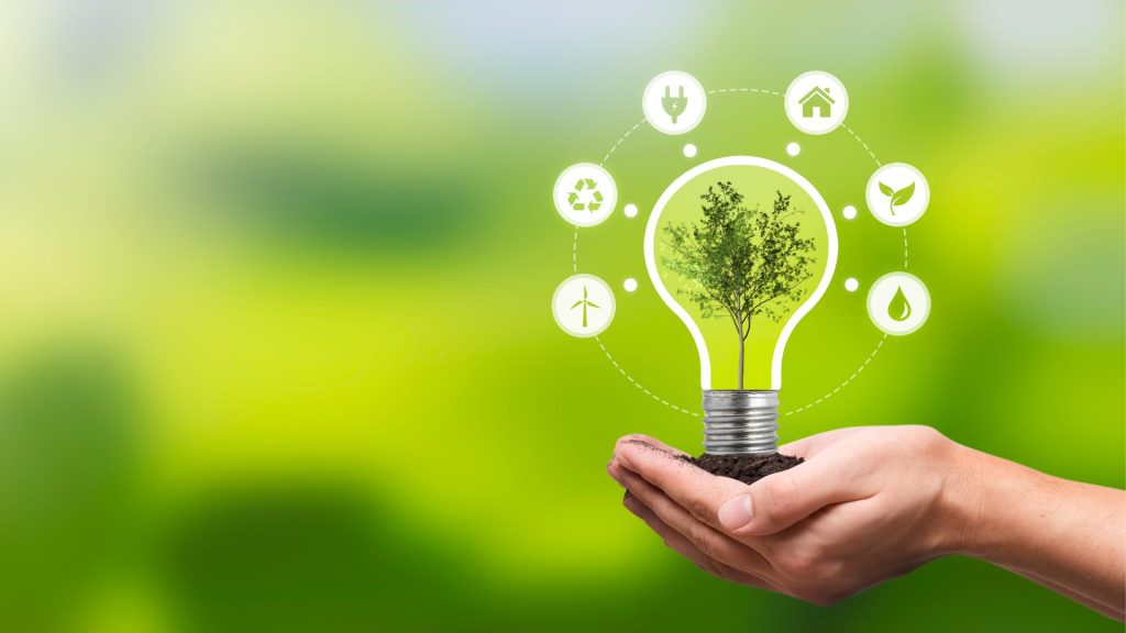 Employee Carbon Literacy Is Key For Businesses To Reach Net Zero