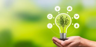 Employee Carbon Literacy Is Key For Businesses To Reach Net Zero