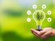 Employee Carbon Literacy Is Key For Businesses To Reach Net Zero