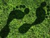 7 Easy Ways to Reduce Your Carbon Footprint Today