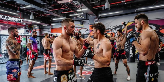 Exploring Exciting Jobs with UFC: Your Path to a Career in Mixed ...