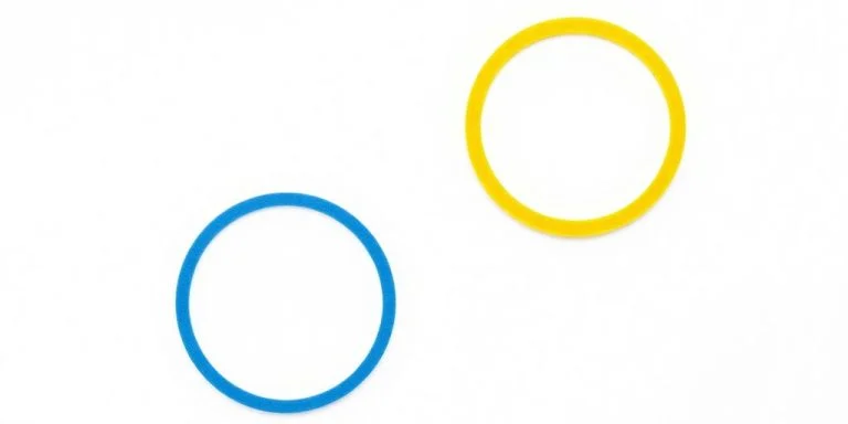 Four colorful interlocking circles on a white background.