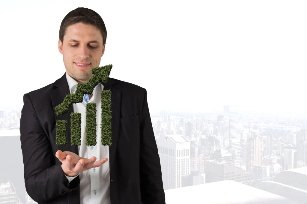 Capital as a factor of production