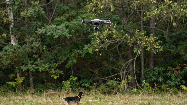 Drone spots escaped dog in wooded area during rescue.