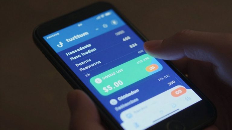 Digital crypto wallet showing transactions and balances.