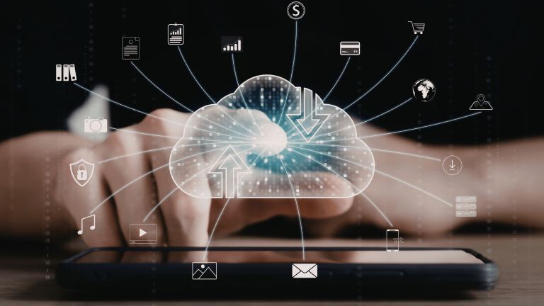 Centralized Platforms vs Decentralized Networks Understanding the Digital Divide