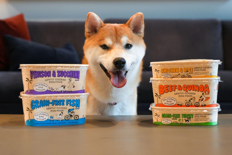 The Dog Food Switch That's Making Tails Wag More Than Ever