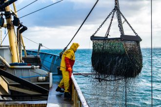 The Skills That Separate Experienced Commercial Fishermen from Beginners: Insights from Victor Daniel Silva